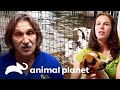 Jeff visita animais afetados pelo furacão Harvey | Veterinário das montanhas | Animal Planet Brasil