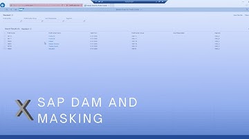 SAP Dynamic Authorization Management (DAM) & Dynamic Data Masking