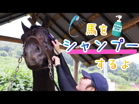 最近買ったシャンプーでダンちゃん洗ったよ!