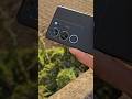 Vivo V29 Pro Camera Test Daylight Nature