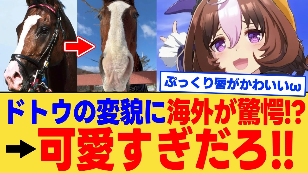【海外の反応】「これは確かにωみたいだ…」メイショウドトウのイケメンフェイスからω顔までの変貌が海外で話題に対する反応集【ウマ娘】【ウマ娘プリティーダービー】