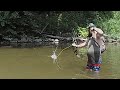 Creek bowfishing 2022 Giant Carp