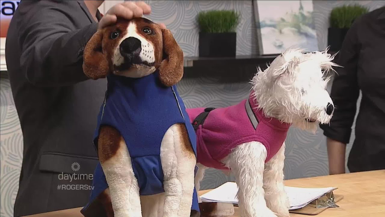 Chilly Dogs - Helping to Keep Your Dog Warm & Dry!