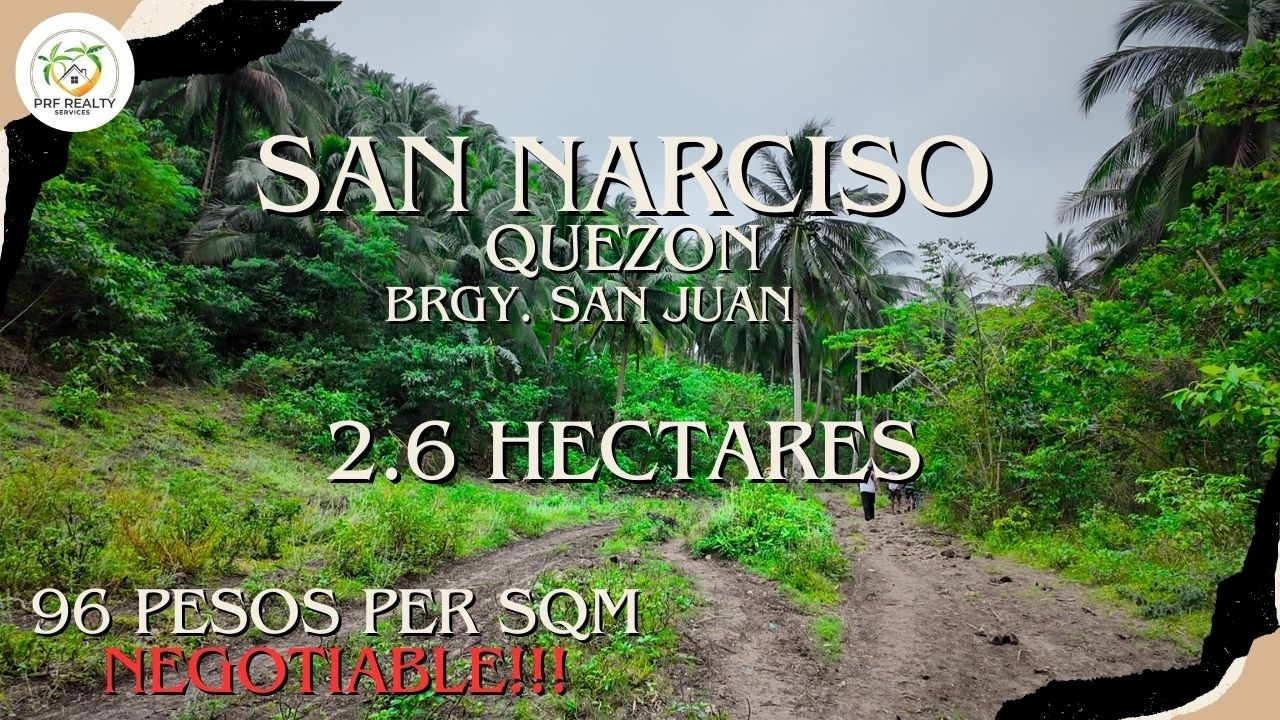 A74 - Property of San Narciso | 2.6 Hectares | Good for Investment