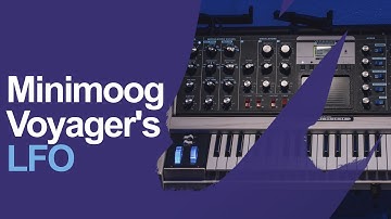 Minimoog Voyager: How to use the LFO.
