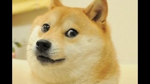 Blender How to make Doge bread [Read Description AND turn on Captions]