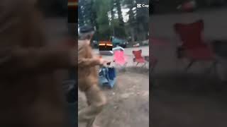 Celebrity bro went max speed Net Worth