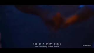 Story WA-You are the reason