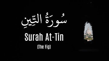 Surah At-Tin (Hossam ElDin Abadi) |  (حسام الدين عبادي) سورة التين