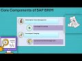 What is SAP BRIM? | SAP BRIM Training | BRIM Tutorial