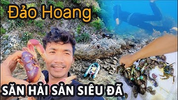🏕️ Cắm Trại Đảo Hoang – 🤿 Lặn Biển 🌒 Săn Đêm Siêu Đã