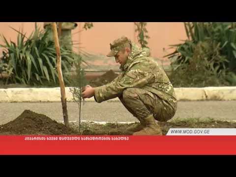 კიპარისის ხეები დაღუპული სამხედროების სახელზე