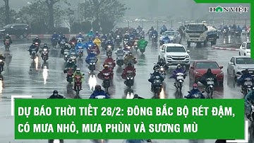 Dự báo thời tiết 28/2: Đông Bắc Bộ rét đậm,có mưa nhỏ, mưa phùn và sương mù | Báo Dân Việt