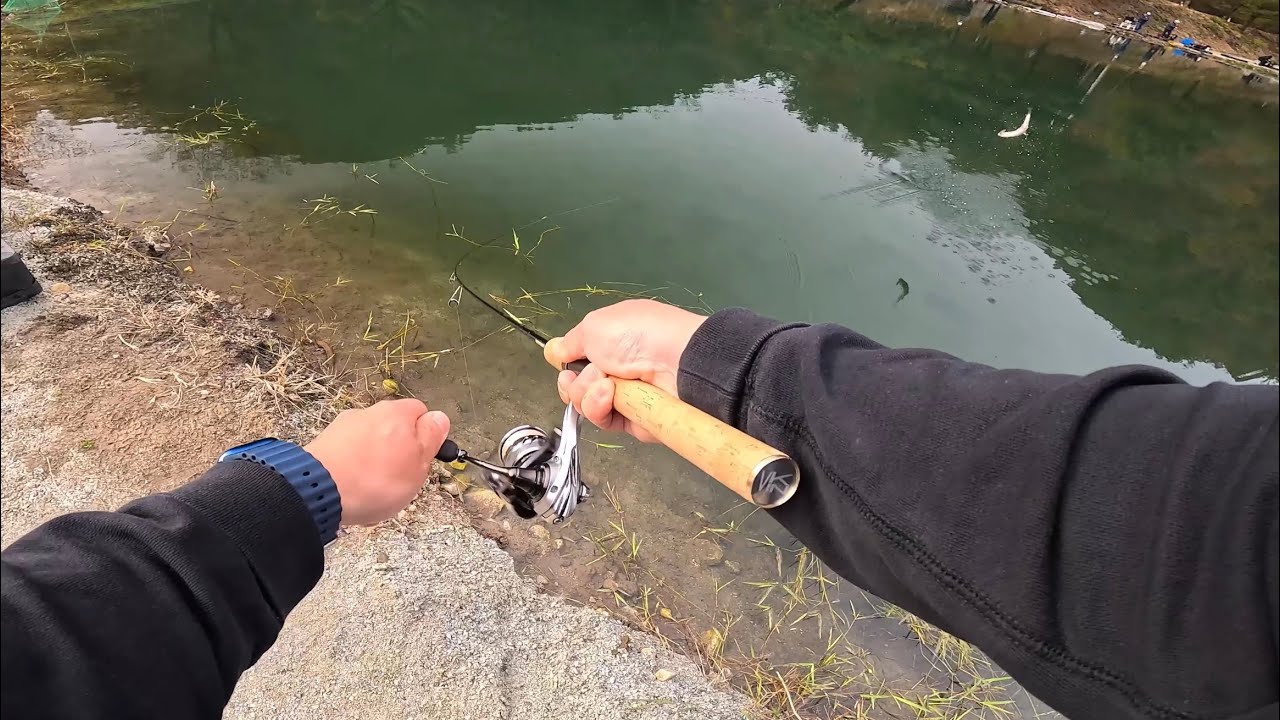 취병낚시터 송어 낚시 !! 힐링 하고 왔어요 !!! (11월8일)