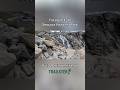 Hiking to Tokopah Falls in Sequoia National Park #shorts #hiking