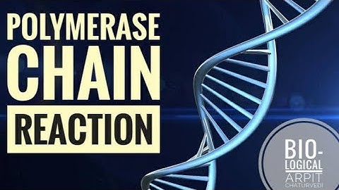 POLYMERASE CHAIN REACTION | PART-1 | BIO-LOGICAL | CSIR-NET | BARC | ICMR