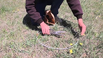 Clip and Weigh Method