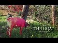 DPIH - “The Goat” official music video (directed by @EugeneHL)