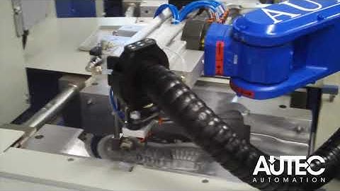 AUTEC: Injection on Upper     RELEASE and CLEANING Robot