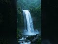 Relaxing Forest Rain 🌧️ Nature ASMR for Deep Sleep