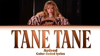 AYDEED-Tane Tane color coded lyrics