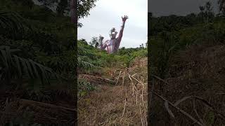 PERTEMPURAN EPIK MELAWAN MONSTER 🔥@Ultraman1408 #epik #monster #ultraman #fyp #shorts