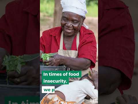 Humanitarian Day, Act for Humanity!