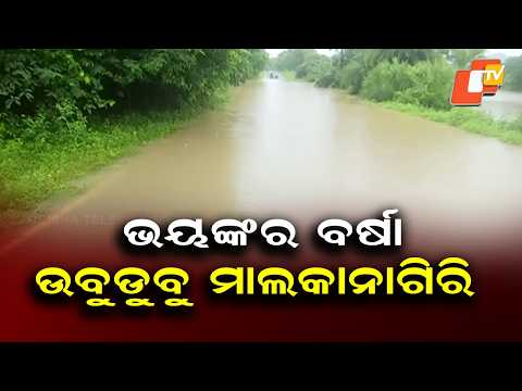 Malkangiri Waterlogged After Two Days of Continuous Rain