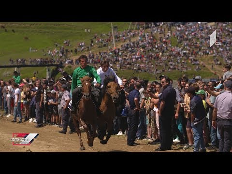 ვიდეო: დოღიზე არის 18 ცხენი?