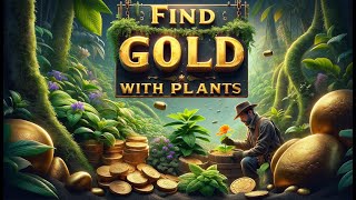 Find Gold with Plants - The Plants that can help you to discover large gold deposits anywhere