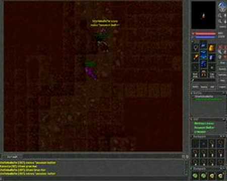 Tibia PK Assasin Bolter