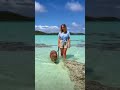 A female teen walking a capybara in great barrier reef #shortvideo #shortsfeed #shorts