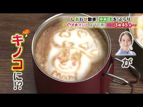 【公式】9月11日（月）イチオシ！！　番組予告