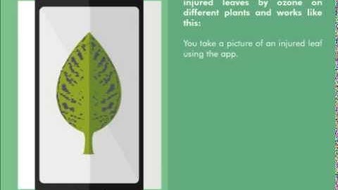 Why tropospheric ozone is a problem, and what you can do for helping: LeafO3