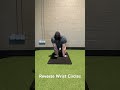 Reverse Wrist Circles - Wrist/Elbow pain relief