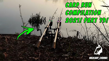 CARP RUN COMPILATION 2021! PART 19!