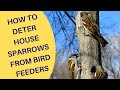 How to Deter House Sparrows at Bird Feeders