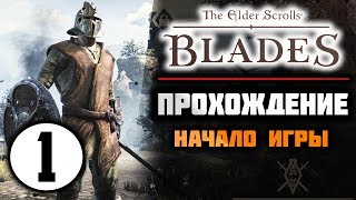 THE ELDER SCROLLS: BLADES прохождение || НАЧАЛО ИГРЫ и ПЕРВЫЙ ОБЗОР ( #1 ) THE ELDER SCROLLS: BLADES прохождение || НАЧАЛО ИГРЫ и ПЕРВЫЙ ОБЗОР ( #1 )