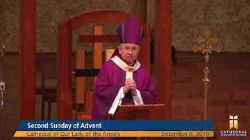 Homily: Second Sunday of Advent
