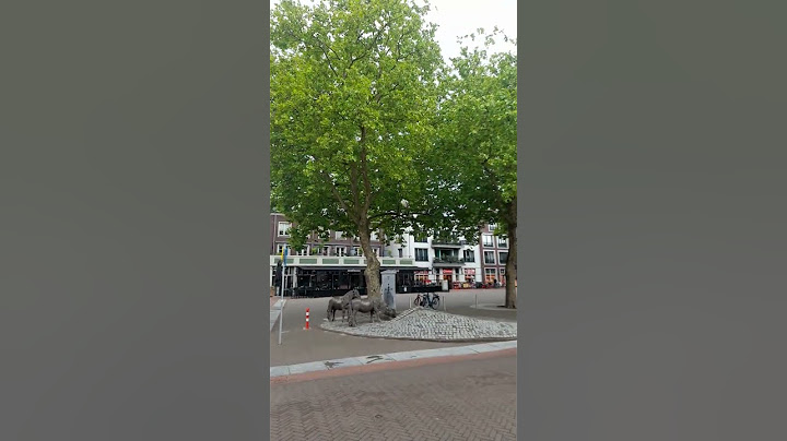 Bemmel #shortvideo #history #trip #travel #europe #shorts #short #dutch #niderland #holland #city