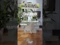 Вы слышали про ХАМЕДОРЕЮ? #short #shorts  #интерьер #дом #цветы #растения #факты #позновательно