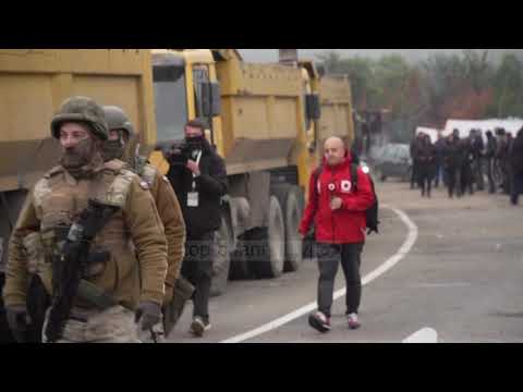 Video: Botë E Parashikueshme