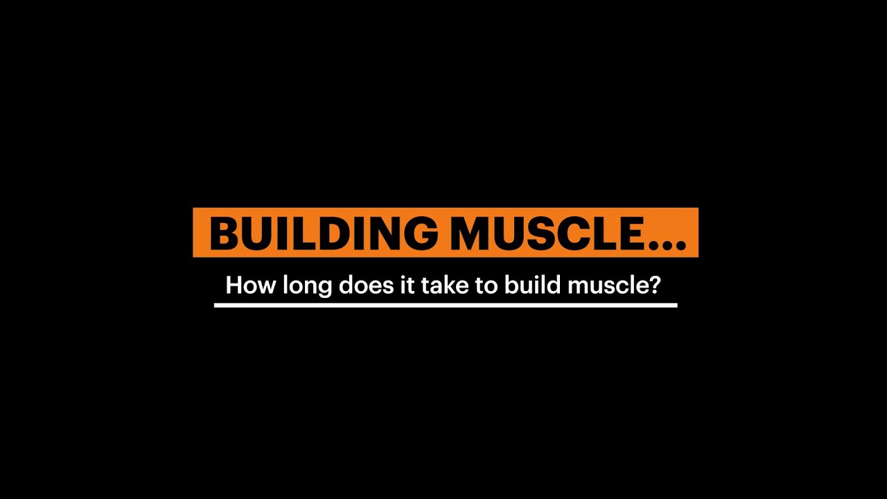 How long does it take to build muscle? - YouTube