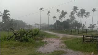 video hujan di sore hari#short