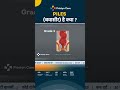 Piles kya hai ? 3 दिनों में बवासीर से राहत पाएं #shorts