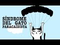 Síndrome del gato paracaidista. ¿Cómo puedes prevenirlo?