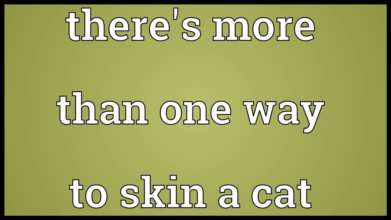 There's more than one way to skin a cat Meaning YouTube There's more than one way to skin a cat Meaning YouTube