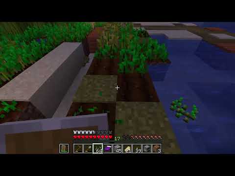 MINECRAFT NIGHT!!!
