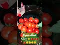 Cherry en la huerta negros y rojos... 👉🍅🍅😋😋