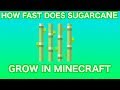 Optimizing Sugarcane Farming in Minecraft: Growth Mechanics, Generation, and Uses